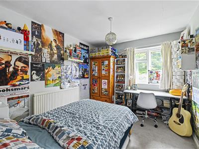Picture 14